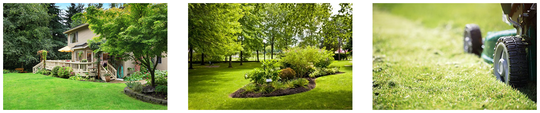 Barbuzzi Landscape Contractors