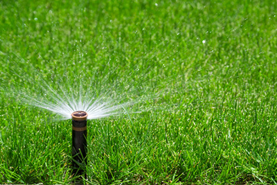 Lawns & Irrigation